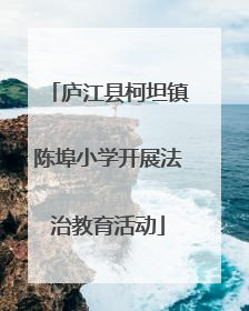 庐江县柯坦镇陈埠小学开展法治教育活动