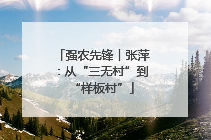 强农先锋丨张萍：从“三无村”到“样板村”