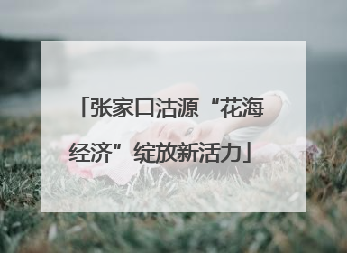 张家口沽源“花海经济”绽放新活力