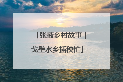 张掖乡村故事｜戈壁水乡插秧忙