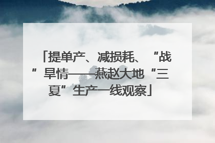 提单产、减损耗、“战”旱情——燕赵大地“三夏”生产一线观察