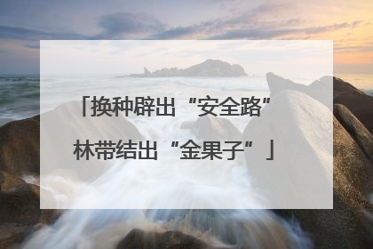 换种辟出“安全路” 林带结出“金果子”