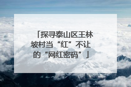 探寻泰山区王林坡村当“红”不让的“网红密码”