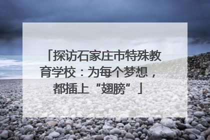 探访石家庄市特殊教育学校：为每个梦想，都插上“翅膀”