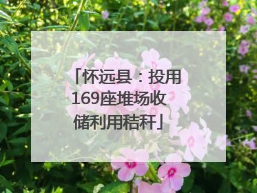 怀远县：投用169座堆场收储利用秸秆