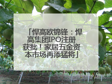 悍高欧锦锋：悍高集团IPO注册获批！家居五金资本市场再添猛将