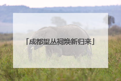 成都望丛祠焕新归来