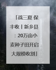 战三夏 保丰收丨新乡县：20万亩小麦种子田开启大规模收割