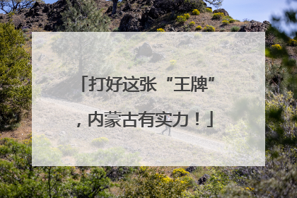 打好这张“王牌”，内蒙古有实力！