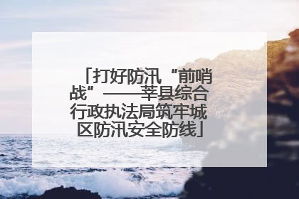 打好防汛“前哨战”——莘县综合行政执法局筑牢城区防汛安全防线