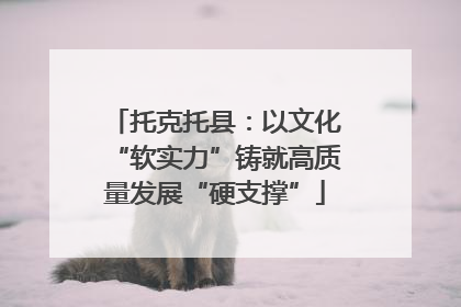 托克托县：以文化“软实力”铸就高质量发展“硬支撑”