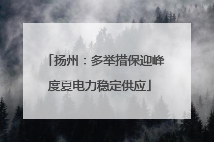 扬州：多举措保迎峰度夏电力稳定供应
