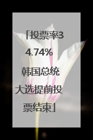 投票率34.74% 韩国总统大选提前投票结束