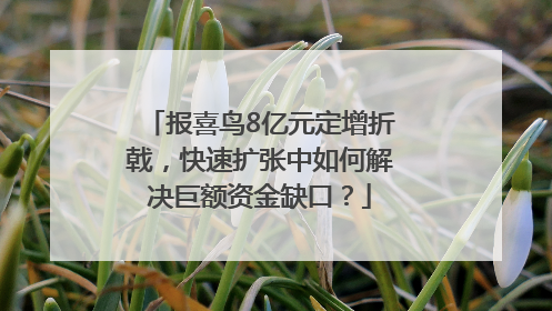 报喜鸟8亿元定增折戟，快速扩张中如何解决巨额资金缺口？