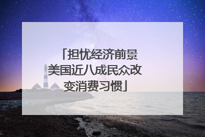 担忧经济前景 美国近八成民众改变消费习惯