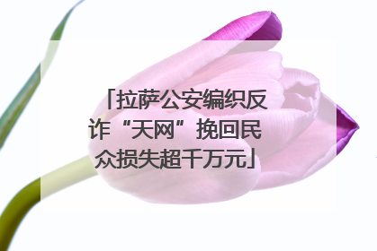 拉萨公安编织反诈“天网”挽回民众损失超千万元