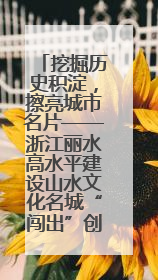 挖掘历史积淀，擦亮城市名片——浙江丽水高水平建设山水文化名城“闯出”创新之路
