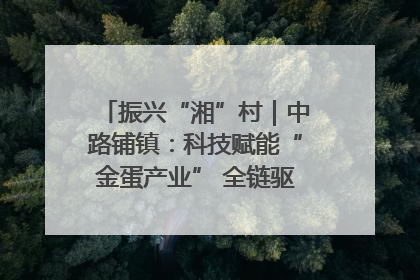 振兴“湘”村｜中路铺镇：科技赋能“金蛋产业” 全链驱动乡村振兴