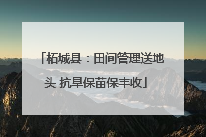 柘城县：田间管理送地头 抗旱保苗保丰收