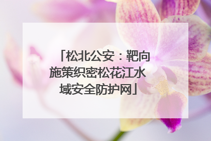 松北公安：靶向施策织密松花江水域安全防护网