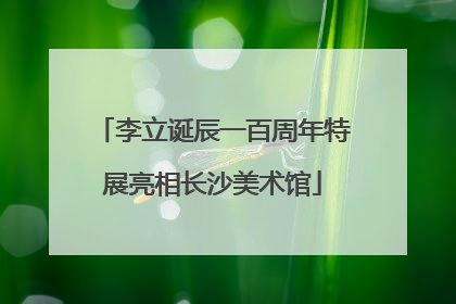 李立诞辰一百周年特展亮相长沙美术馆