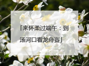 来怀柔过端午：到汤河口看龙舟赛