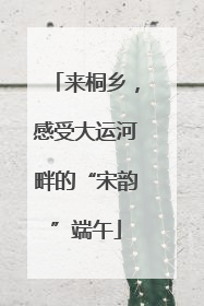 来桐乡，感受大运河畔的“宋韵”端午