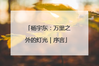 杨宇东：万里之外的灯光｜序言