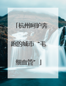 杭州呵护奔跑的城市“毛细血管”