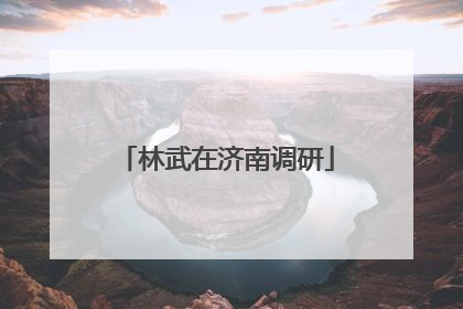 林武在济南调研
