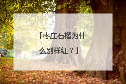 枣庄石榴为什么别样红？
