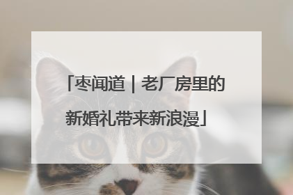 枣闻道｜老厂房里的新婚礼带来新浪漫