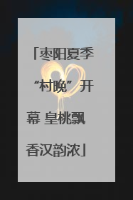 枣阳夏季“村晚”开幕 皇桃飘香汉韵浓