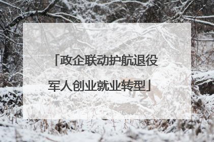 政企联动护航退役军人创业就业转型