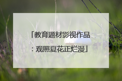 教育题材影视作品：观照夏花正烂漫