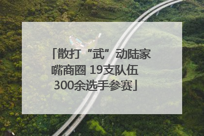 散打“武”动陆家嘴商圈 19支队伍300余选手参赛