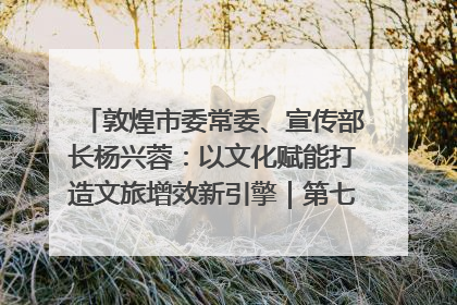 敦煌市委常委、宣传部长杨兴蓉：以文化赋能打造文旅增效新引擎｜第七届全国县域旅游研究成果发布系列活动