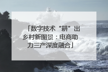 数字技术“耕”出乡村新图景：电商助力三产深度融合