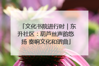文化书院进行时｜东升社区：葫芦丝声韵悠扬 奏响文化和谐曲