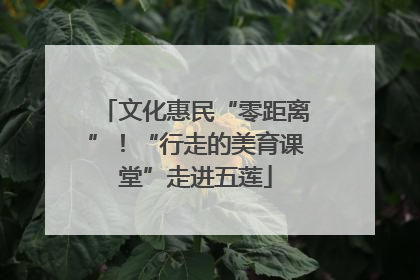 文化惠民“零距离”！“行走的美育课堂”走进五莲