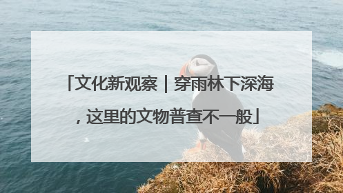 文化新观察｜穿雨林下深海，这里的文物普查不一般
