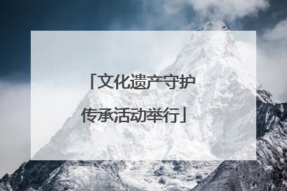 文化遗产守护传承活动举行