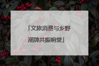 文旅消费与乡野潮牌共振响堂