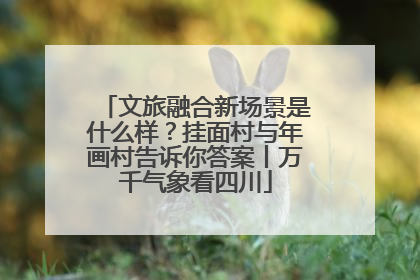 文旅融合新场景是什么样？挂面村与年画村告诉你答案丨万千气象看四川