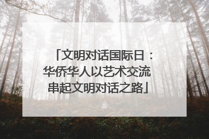 文明对话国际日：华侨华人以艺术交流串起文明对话之路