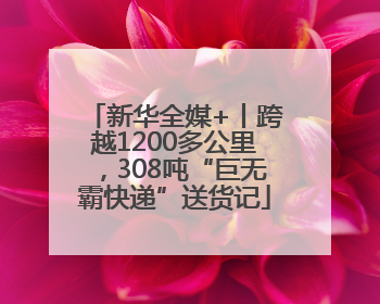 新华全媒+丨跨越1200多公里，308吨“巨无霸快递”送货记