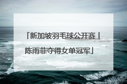 新加坡羽毛球公开赛丨陈雨菲夺得女单冠军