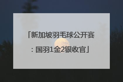 新加坡羽毛球公开赛：国羽1金2银收官