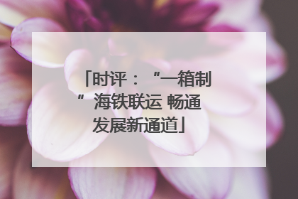 时评：“一箱制”海铁联运 畅通发展新通道