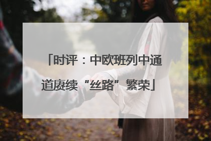 时评：中欧班列中通道赓续“丝路”繁荣